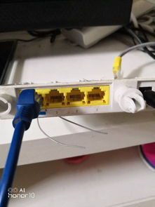 電視寬帶線如何連接電腦？解決“未插入網線”問題指南